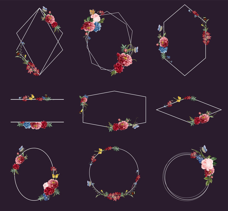 花卉框架插图集