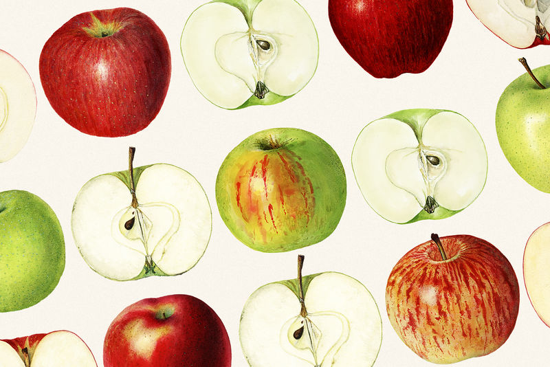 手绘苹果图案背景