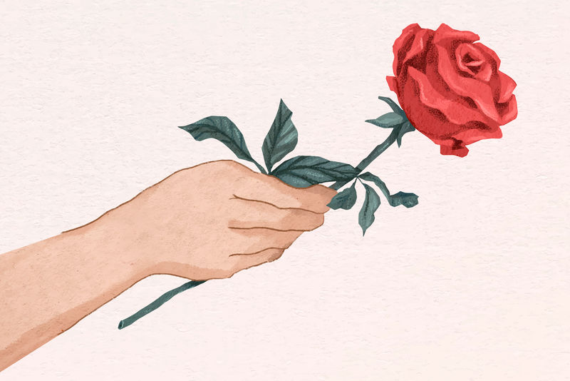 可爱的情人节玫瑰礼物矢量手绘插图