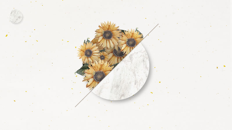 白色背景上的向日葵花束插图