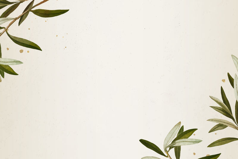 米色背景模板向量上的橄榄枝图案