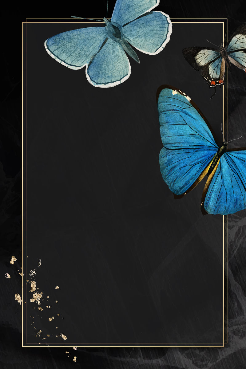带蓝色蝴蝶图案背景向量的金色框架