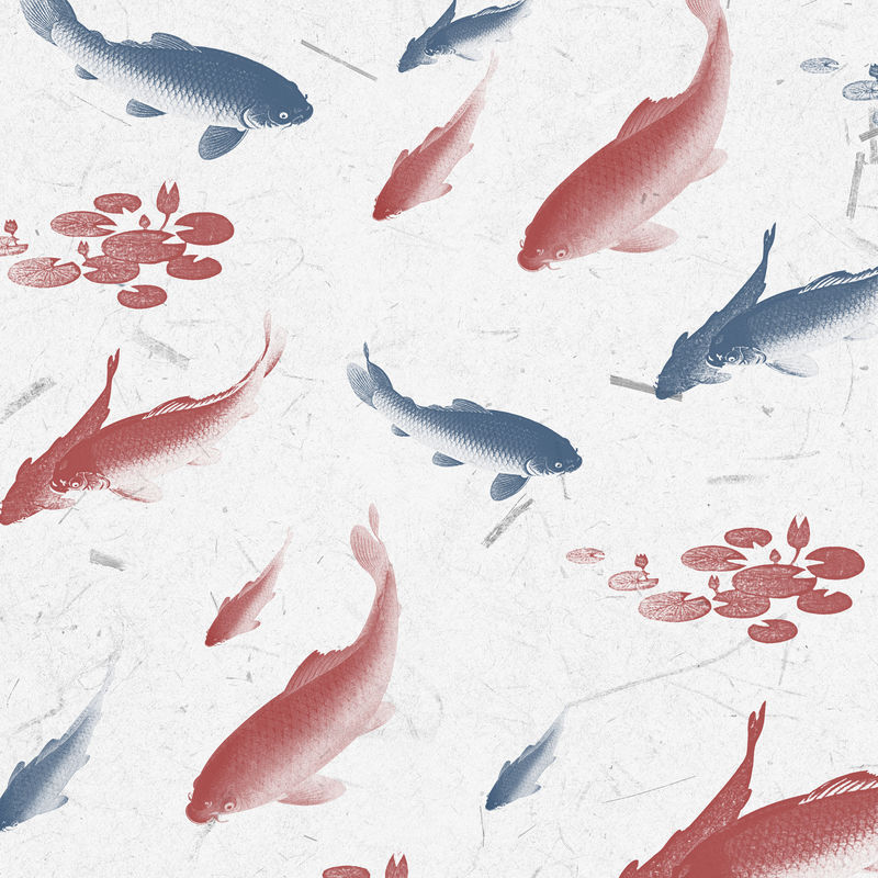 蓝色和红色锦鲤鱼图案背景插图