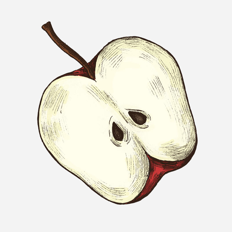 鲜切熟苹果插画