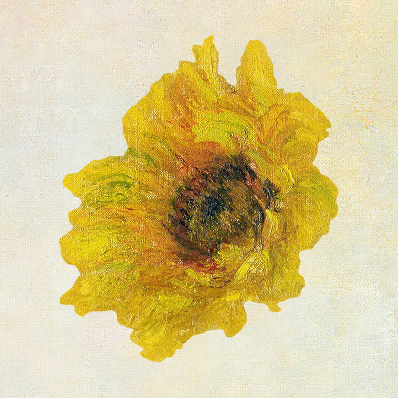 《向日葵》改编自克劳德·莫奈的艺术作品