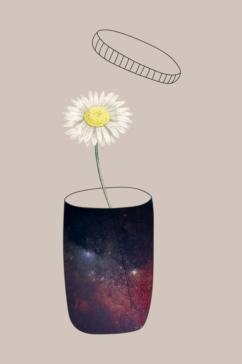 生长在银河系载体上的雏菊花