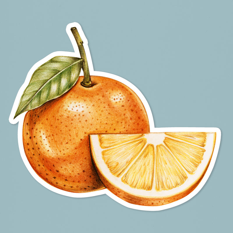 有机水果和橙色插图手绘