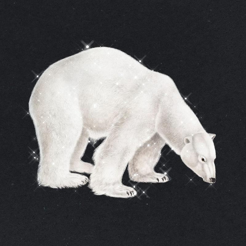 手绘闪耀北极熊设计元素