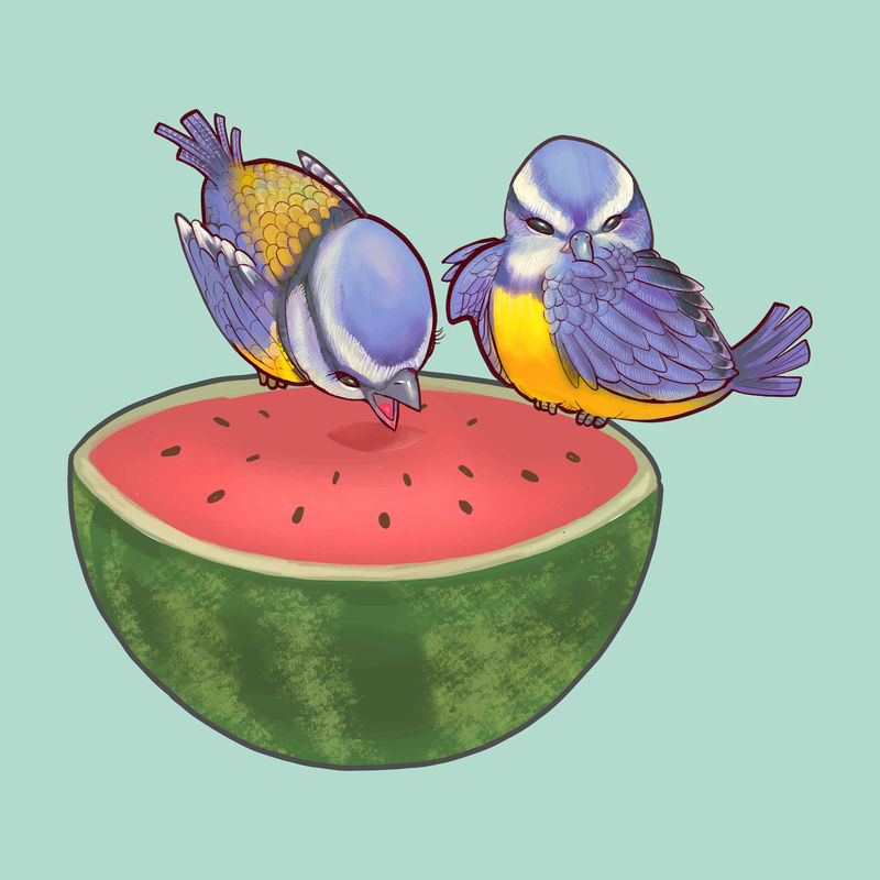 两只可爱的鸟栖息在西瓜上的插图