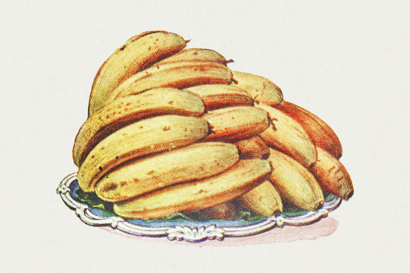 复古手绘香蕉设计元素