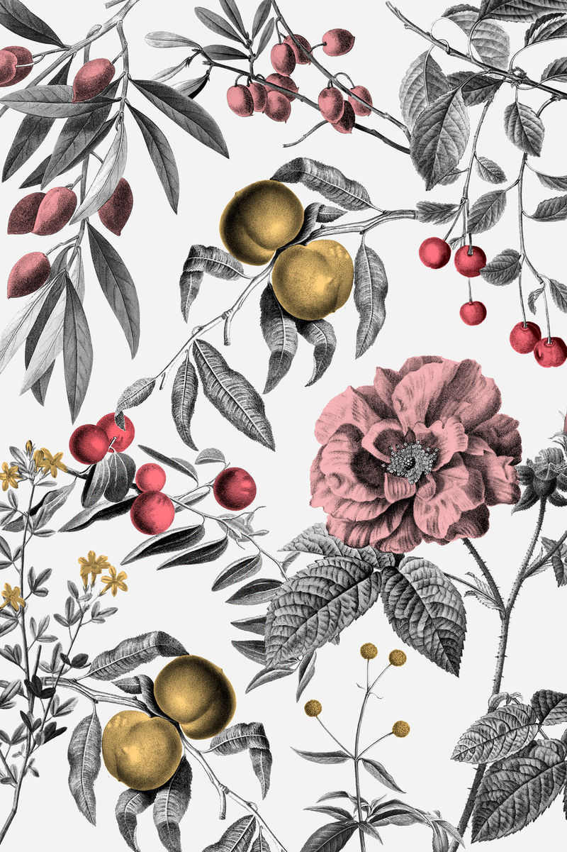 复古玫瑰图案粉色植物和水果插图