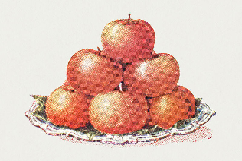 复古手绘苹果设计元素