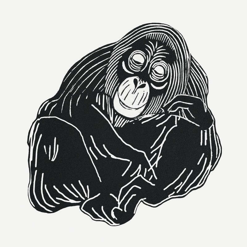 古董猩猩动物psd艺术印刷品由塞缪尔·杰苏伦·德梅斯基塔的艺术作品混合而成
