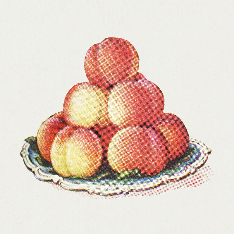 复古手绘桃子设计元素