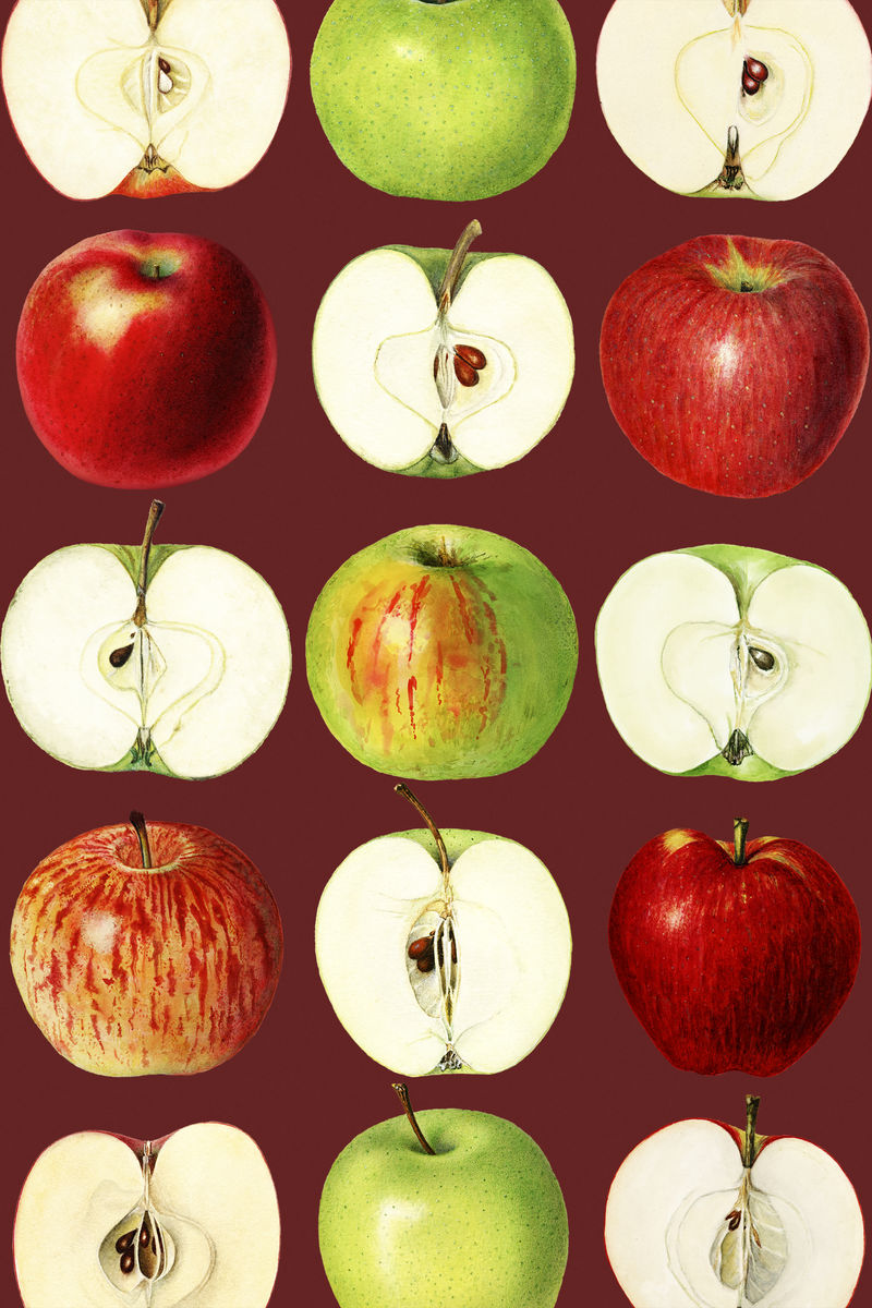 手绘红苹果红色背景插图手绘苹果图案背景