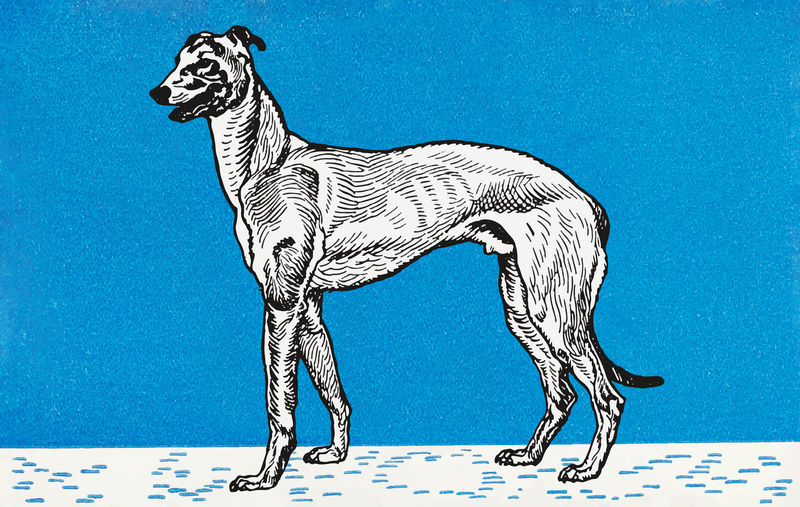 复古灰狗插图矢量从莫里兹容格的艺术作品混合