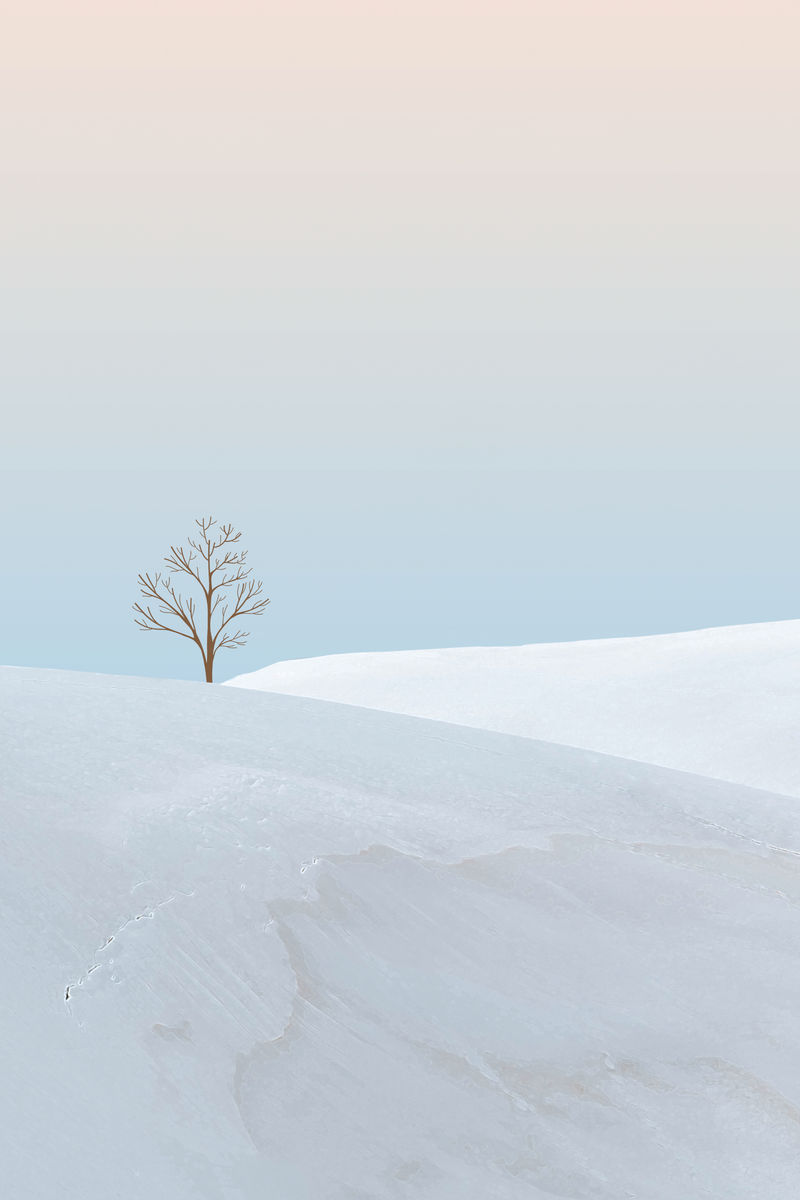 创意背景psd最小的冬季景观与光秃秃的树木