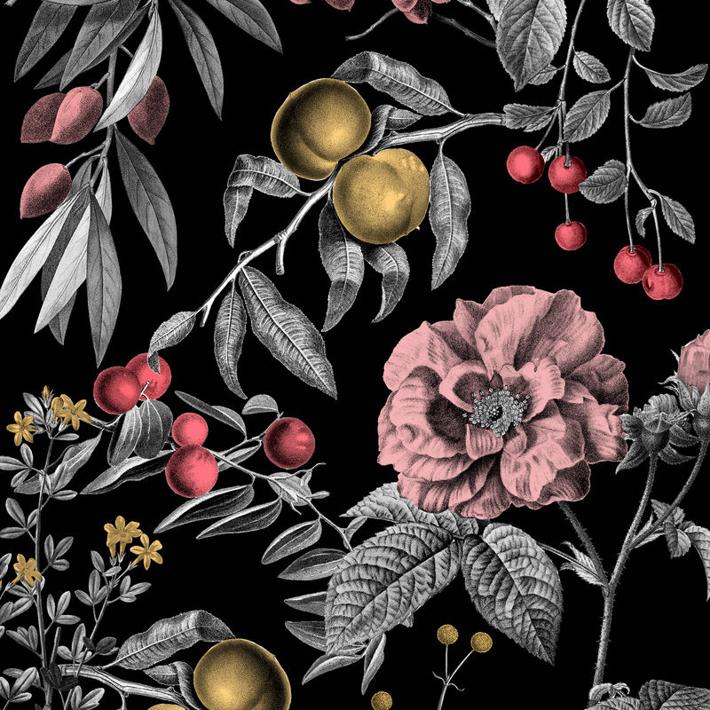 优雅的玫瑰花图案psd粉色水果复古插图