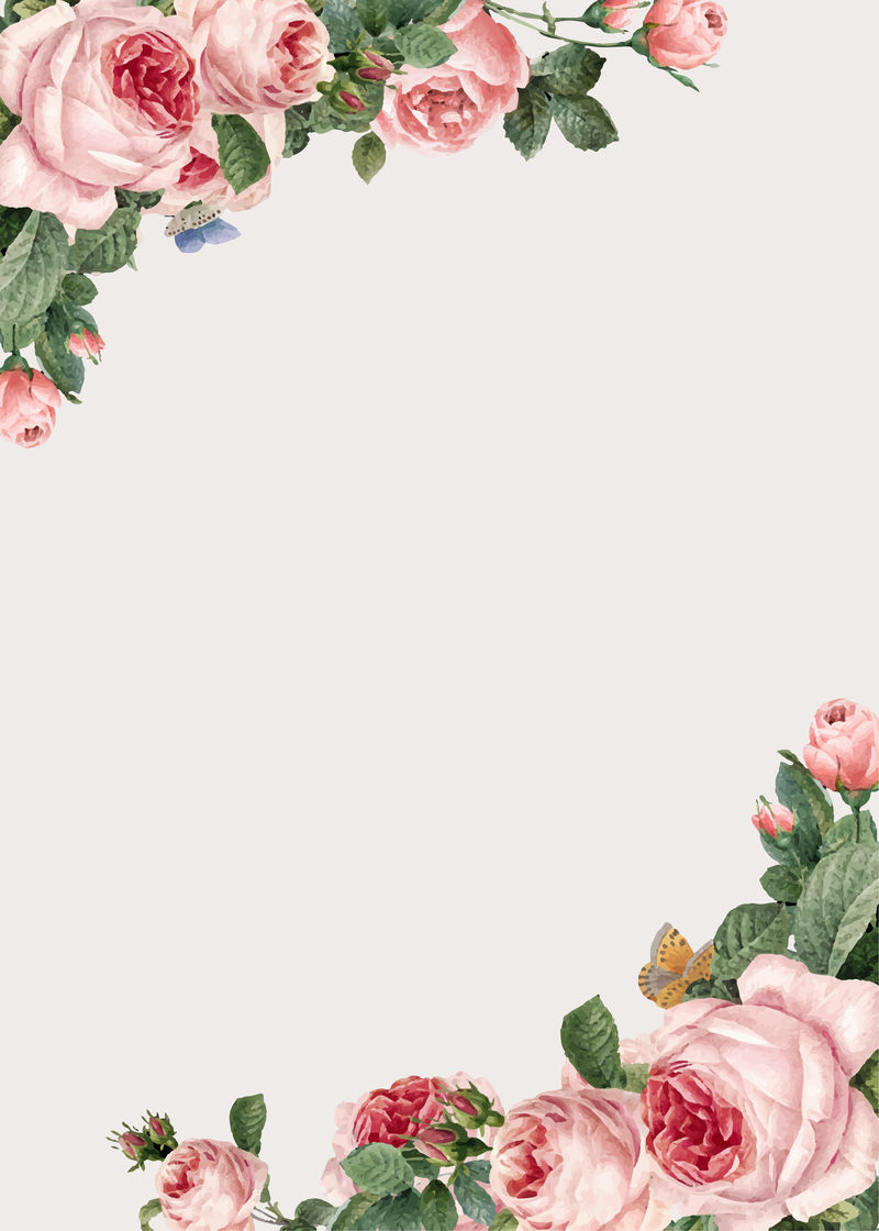 米色背景矢量上的手绘粉红玫瑰框架