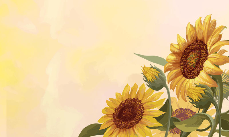 黄色背景矢量上的手绘向日葵