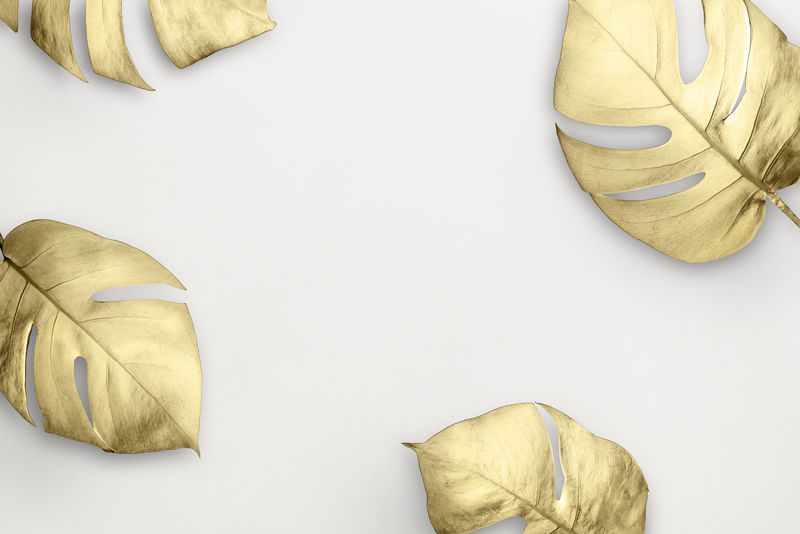 白色大理石背景上的金色分叶philodendron框架插图
