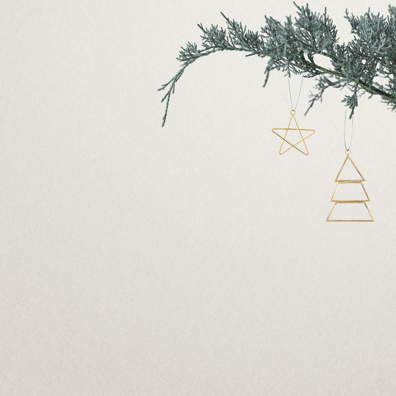 圣诞装饰品挂在树的背景上