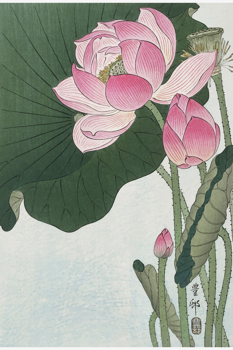 Blooming lotus复古墙面艺术印刷品和海报设计由Ohara Koson原创作品混合而成