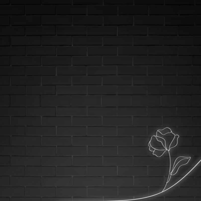 霓虹灯在黑砖墙上开花