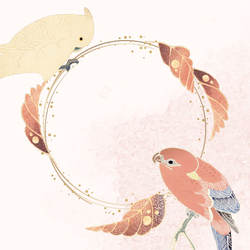 金色框架白色和粉色背景上有鹦鹉金刚鹦鹉和树叶图案