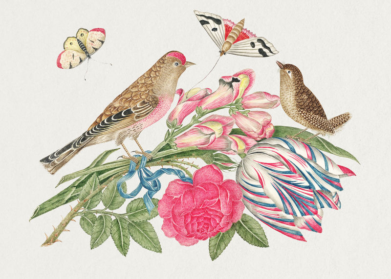 花束上的棕色小鸟从18世纪史密森档案馆的艺术品中重新混合而成