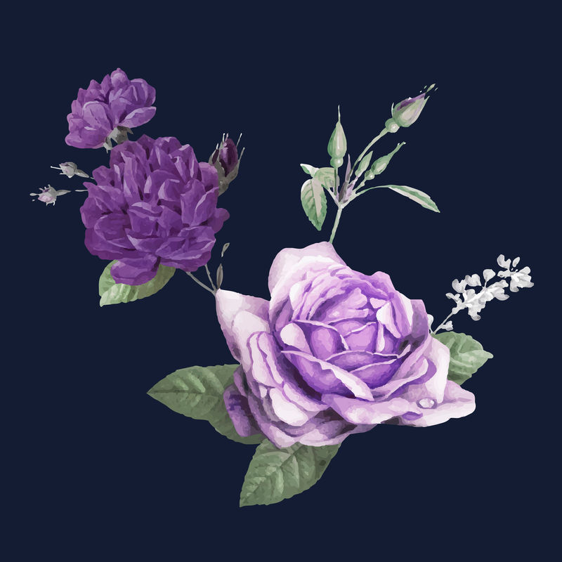 复古紫色春季矢量卷心菜玫瑰贴纸