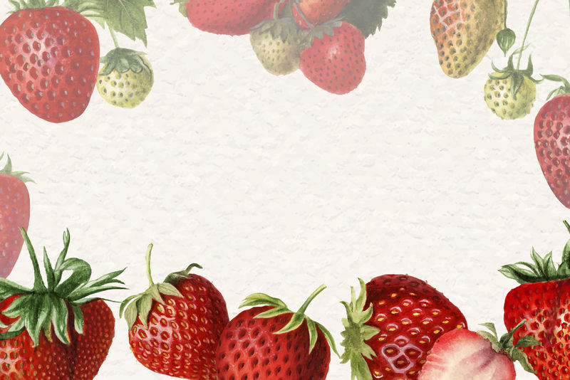 手绘天然鲜草莓架
