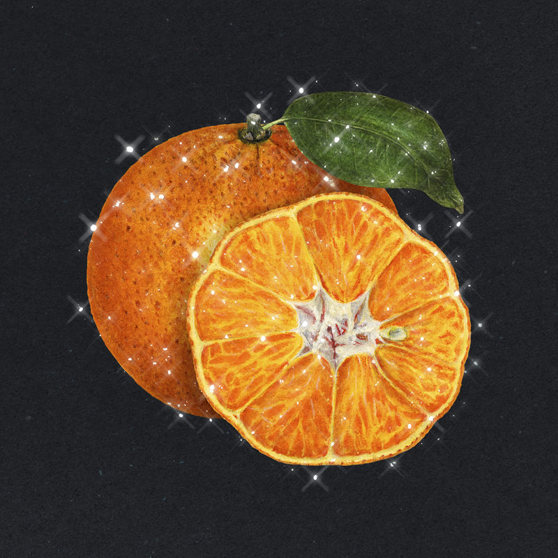 手绘起泡橙子设计元素