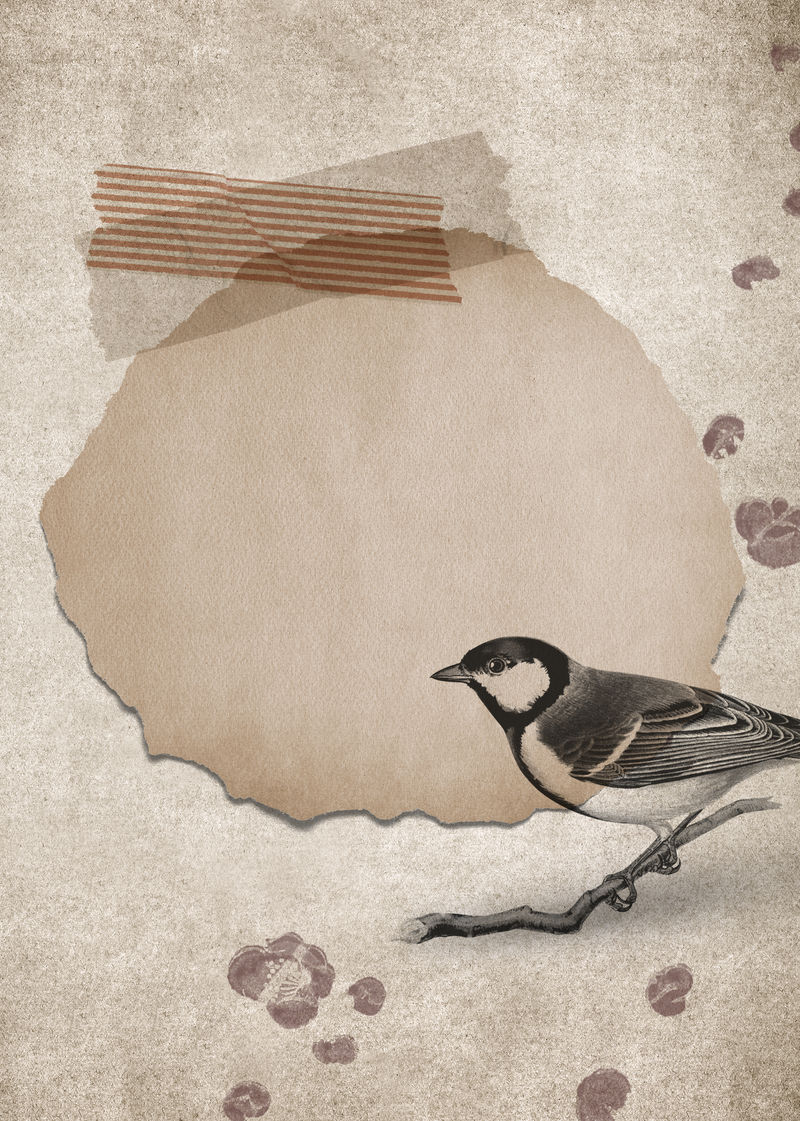 塔尔戈克斯大山雀在一个肮脏的棕色背景插图