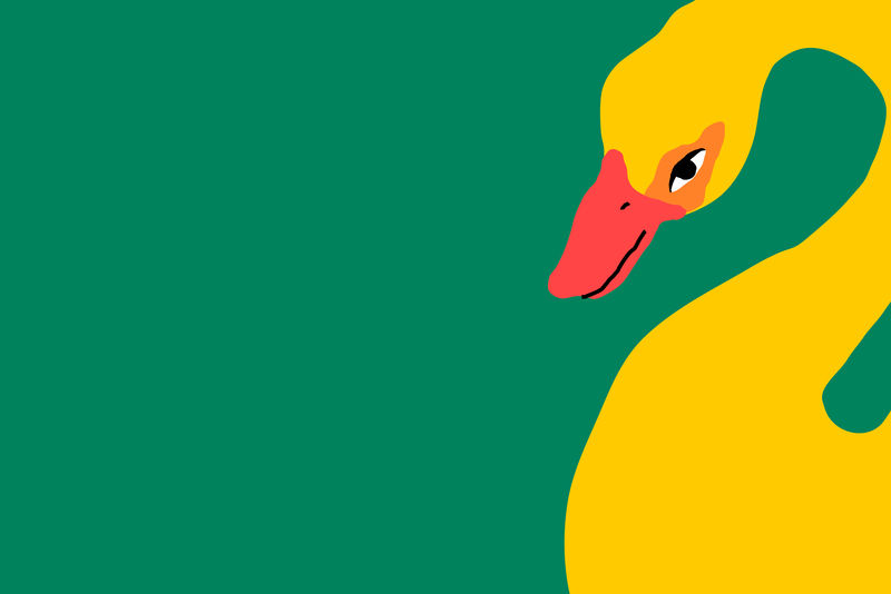 绿色背景矢量与黄色天鹅可爱的动物插图