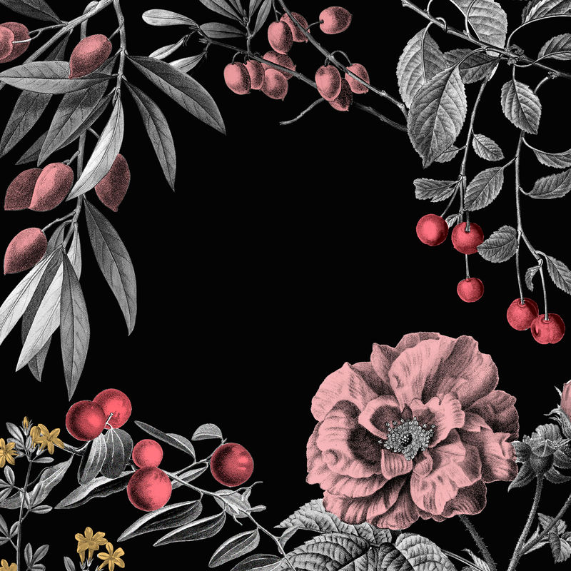 玫瑰色框架复古花卉插图和黑色背景上的水果