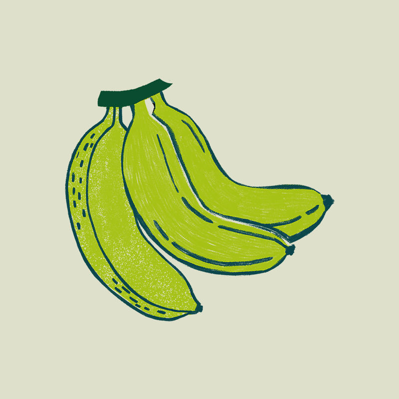 绿色香蕉热带插画