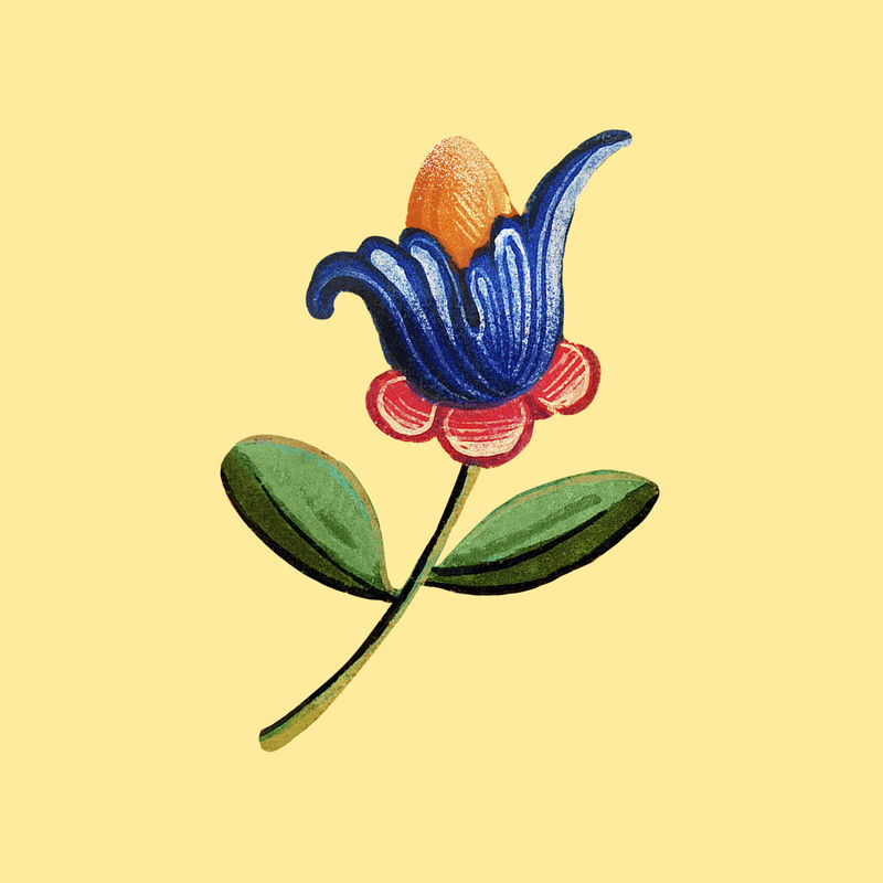 墨西哥花卉插画