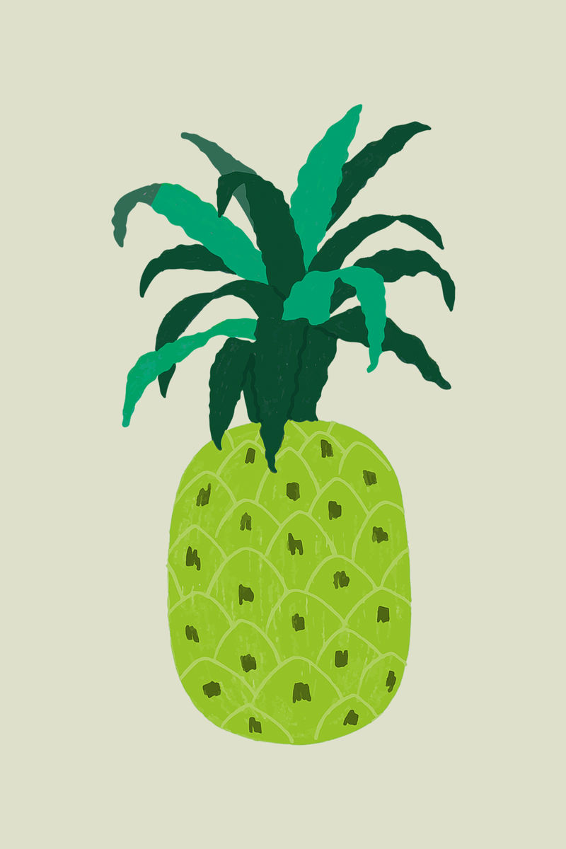 绿色菠萝热带插画