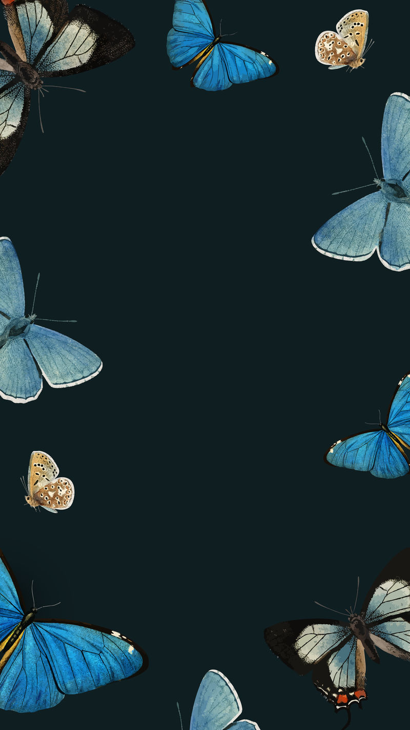 蓝色蝴蝶图案的黑色手机壁纸