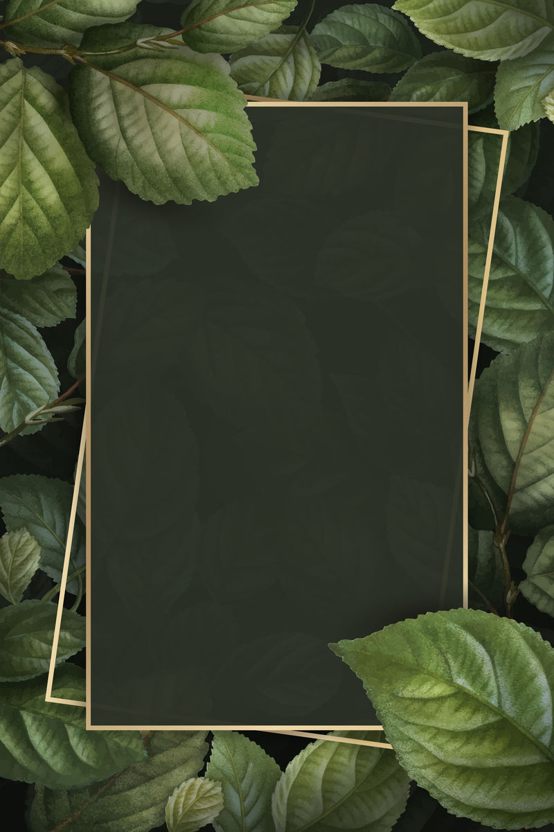 树叶图案背景向量模板上的金色框架