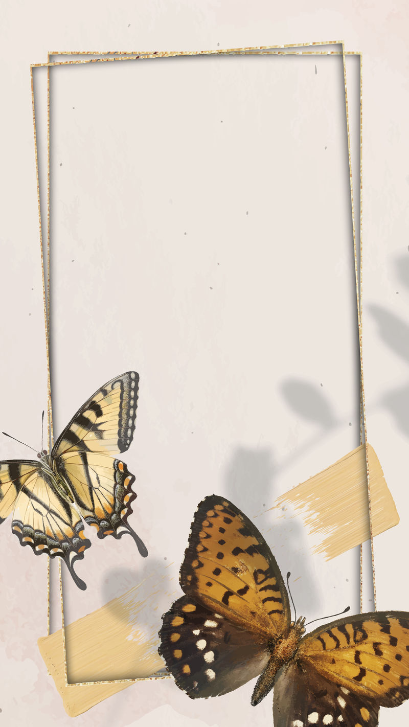 蝴蝶图案手机壁纸矢量金框