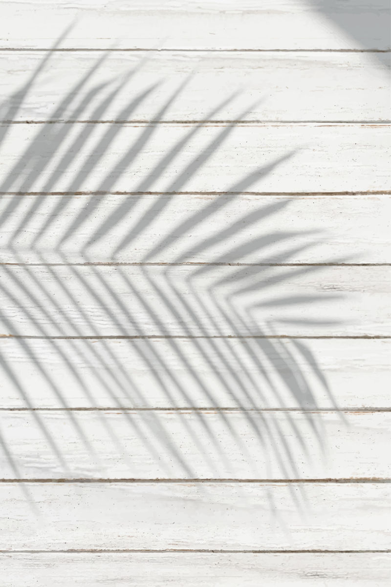 白色木板上的棕榈叶阴影背景向量