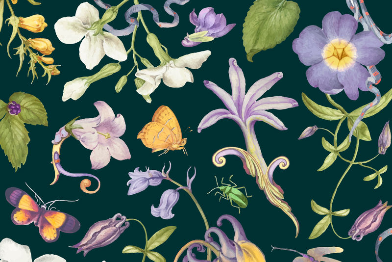深色背景上的唯美紫色花卉图案载体由Pierre Joseph Redout的艺术作品混合而成\u0026eacute；