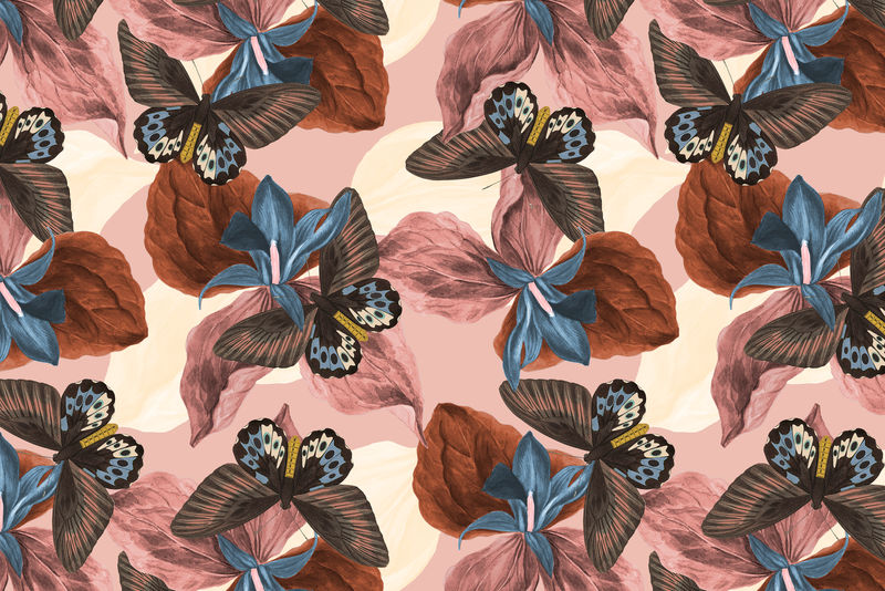 蝴蝶花抽象背景与设计空间从自然者的混音\u0026#39；乔治·肖的《美国杂集》