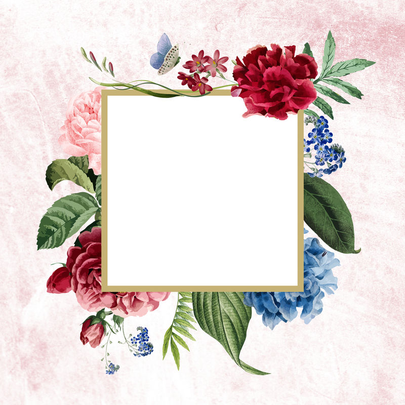 粉色混凝土墙上的花卉方形框架插图