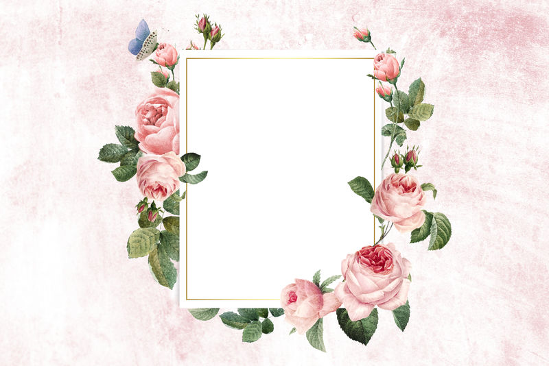 粉色混凝土墙上的花朵矩形框架插图