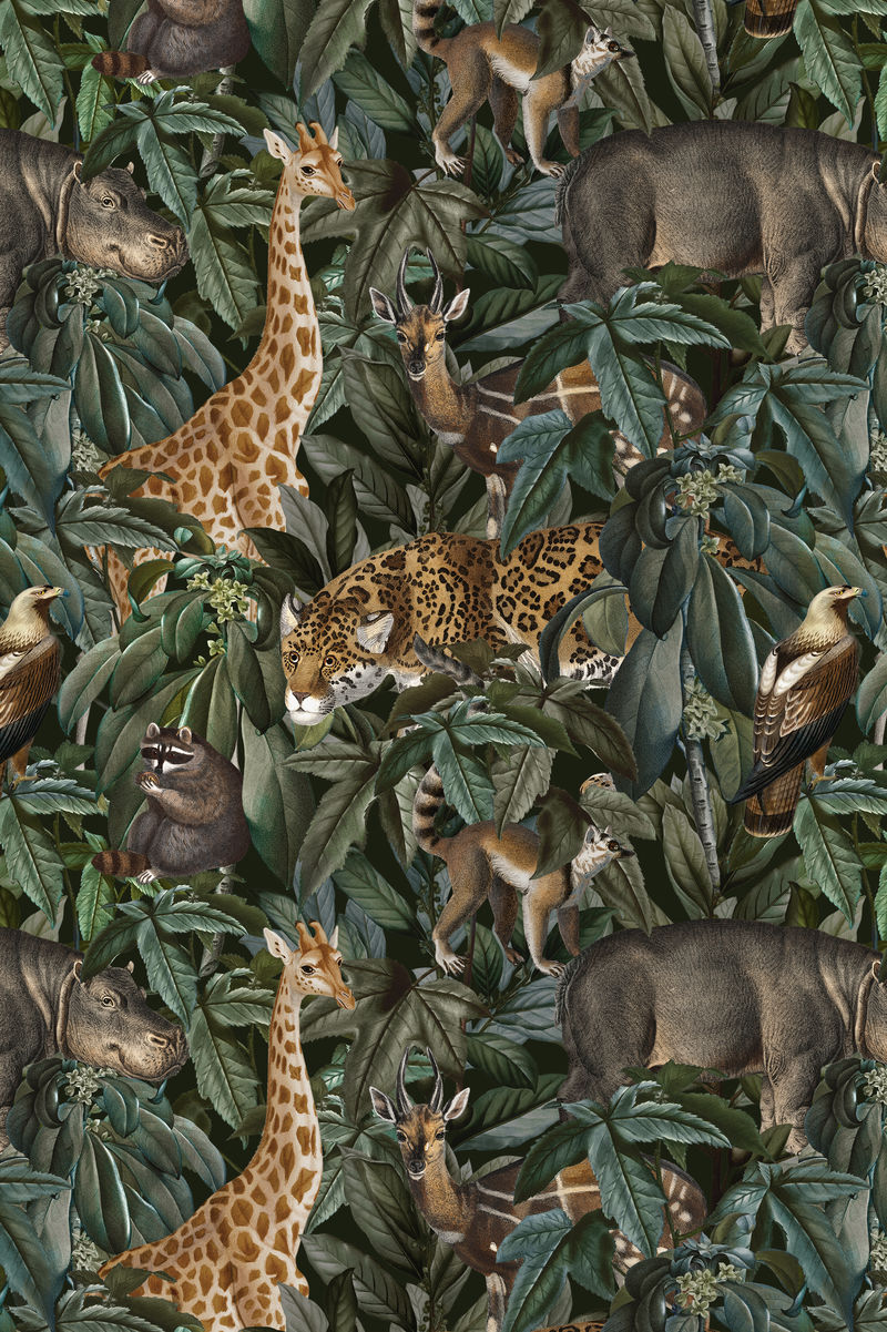 丛林图案背景psd野生动物