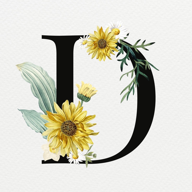夏季字母D psd花卉版式
