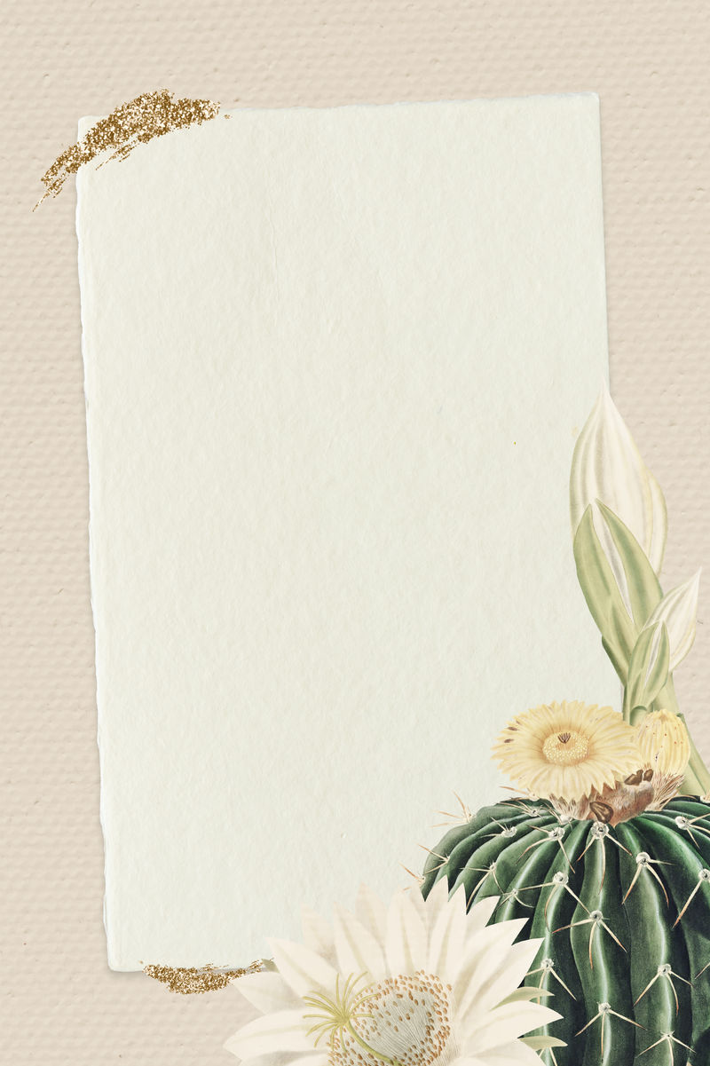 复古绿仙人掌与花框纸纹理背景设计元素